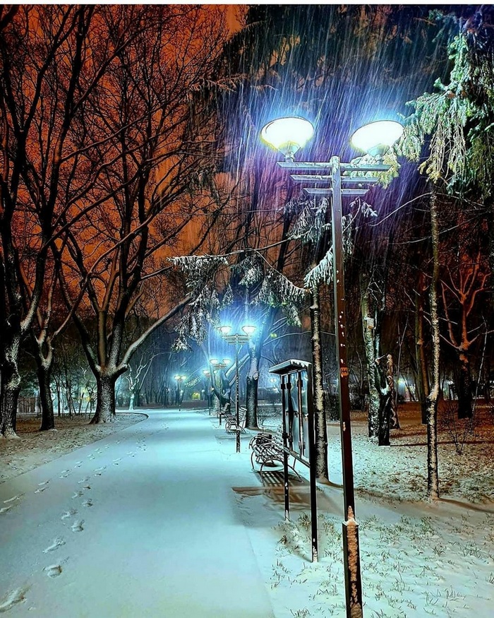 Зимняя сказка в Украине в ярких снимках. Фото