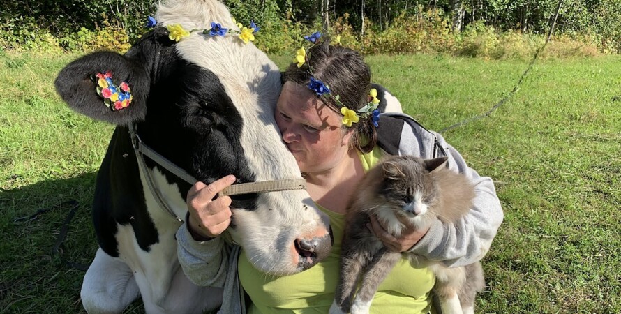 Корова Хильда