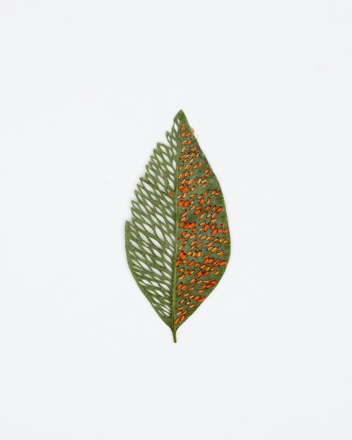 Вышивка превращает листья в произведения искусства