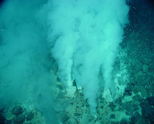 Внутри глубоководных скал обнаружена жизнь