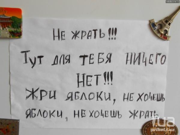 \"Падение рубля - это не повод есть чужую еду!\" - приколы из переписки на холодильнике