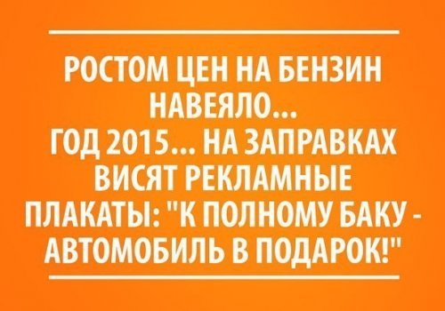 \"Везу пингвинов - не гудеть, пугаются!\" - подборка автоприколов