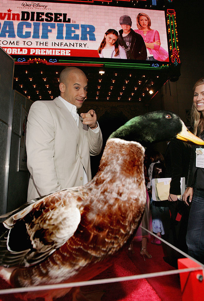 Животные-актеры, которые покорили сердца зрителей. ФОТО Животные-актеры, которые покорили сердца зрителей. ФОТО