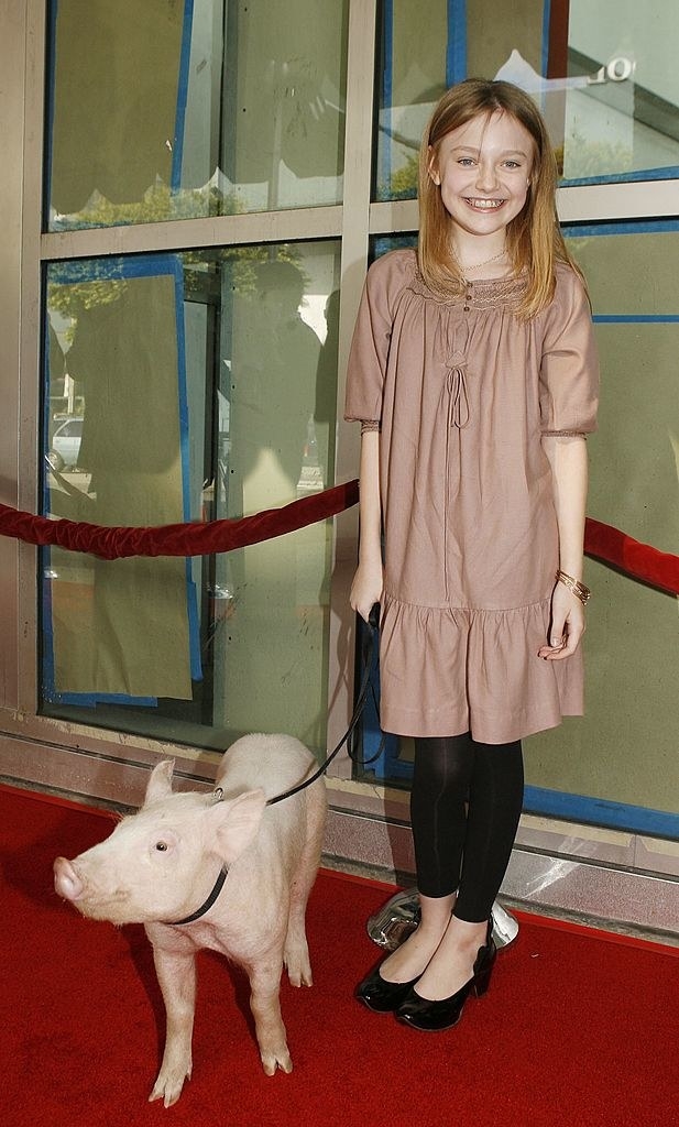 Животные-актеры, которые покорили сердца зрителей. ФОТО Животные-актеры, которые покорили сердца зрителей. ФОТО