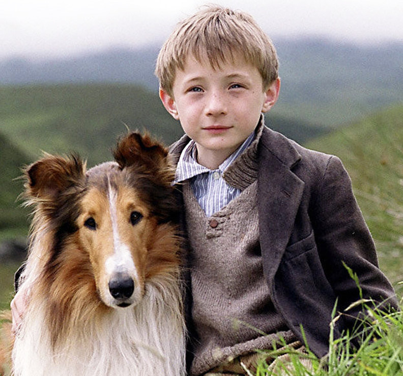 Животные-актеры, которые покорили сердца зрителей. ФОТО Животные-актеры, которые покорили сердца зрителей. ФОТО