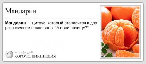 \"Миксер - устройство для разбрызгивания жидкостей\". Википедия: прикольные термины