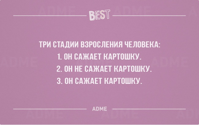 За все хорошее в этой жизни приходится хотеть спать - лучшие открытки 2014 года