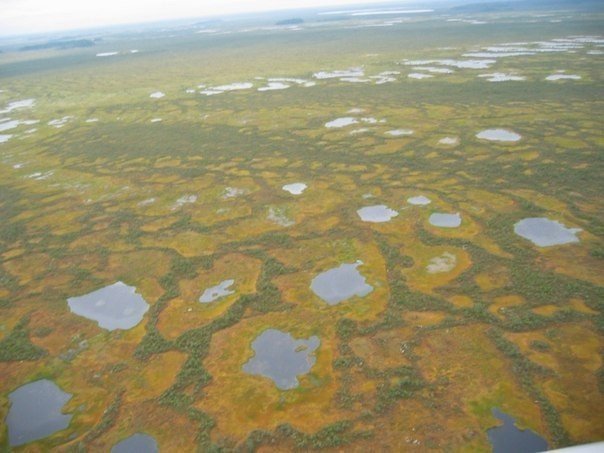 Самое большое болото в мире. ФОТО