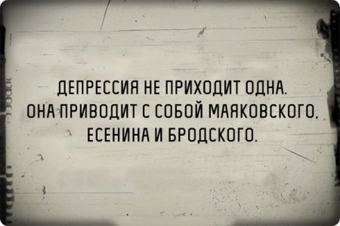 \"Бобер, увидев охотника, опознал на его голове пропавшего деда\", - подборка приколов