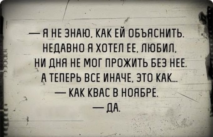 \"Бобер, увидев охотника, опознал на его голове пропавшего деда\", - подборка приколов