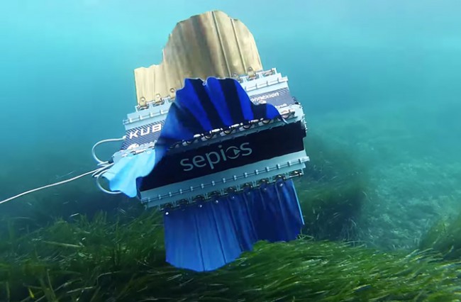 Швейцарские студенты создали робота-рыбу для подводной съемки