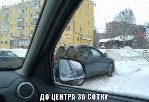 Новые автоприкольные картинки