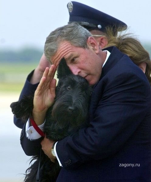 Смешной президент: подборка прикольных фото Джорджа Буша младшего