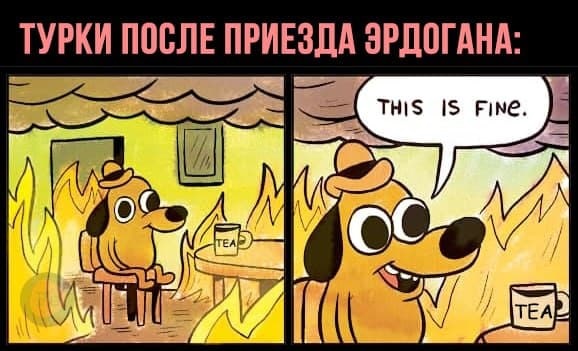 Эрдоган забросал погорельцев чаем: в Сети появились мемы Эрдоган забросал погорельцев чаем: в Сети появились мемы