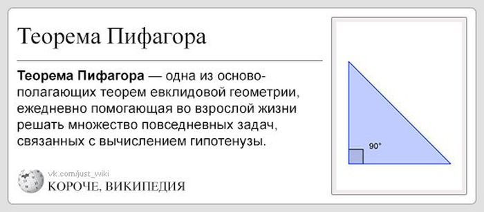 \"Велотренажер - приспособление для хранения одежды\" - забавная Википедия