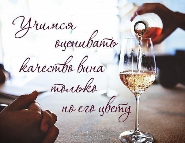 Учимся выбирать хорошее вино