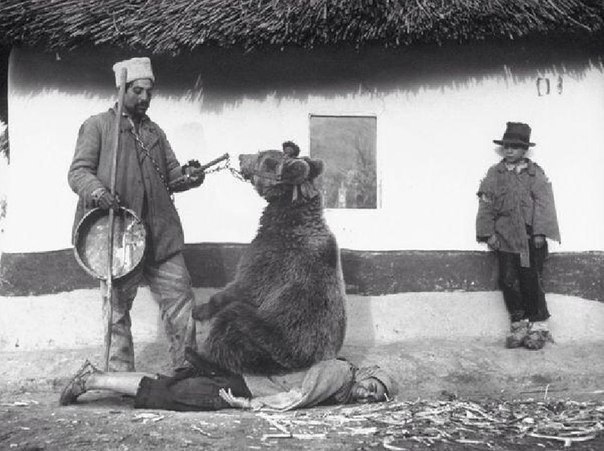 Лечение спины медведем. Румыния, 1946. ФОТО