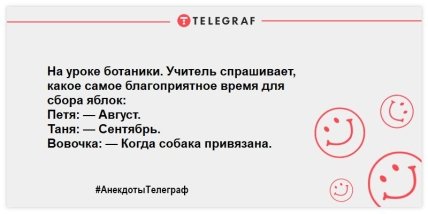 С хорошим настроением можно горы свернуть: свежие анекдоты на день (ФОТО) С хорошим настроением можно горы свернуть: свежие анекдоты на день (ФОТО)