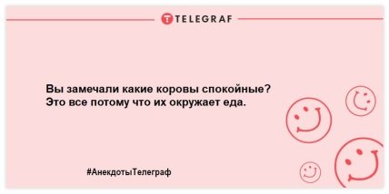 Заряжаемся позитивным настроением: веселые анекдоты Заряжаемся позитивным настроением: веселые анекдоты