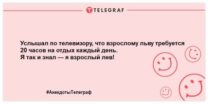 Заряжаемся позитивным настроением: веселые анекдоты на вечер (ФОТО) Заряжаемся позитивным настроением: веселые анекдоты на вечер (ФОТО)