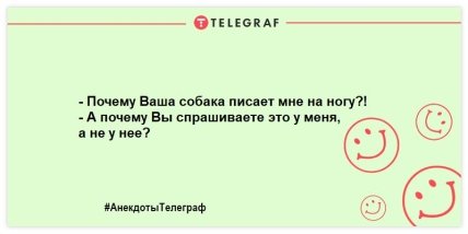 Смех без причины - признак хорошего настроения: веселые анекдоты (ФОТО) Смех без причины - признак хорошего настроения: веселые анекдоты (ФОТО)