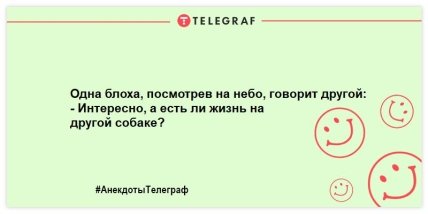 Смех без причины - признак хорошего настроения: веселые анекдоты (ФОТО) Смех без причины - признак хорошего настроения: веселые анекдоты (ФОТО)