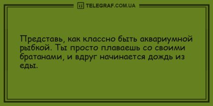 Позитивная нотка: прикольные утренние анекдоты (ФОТО) Позитивная нотка: прикольные утренние анекдоты (ФОТО)