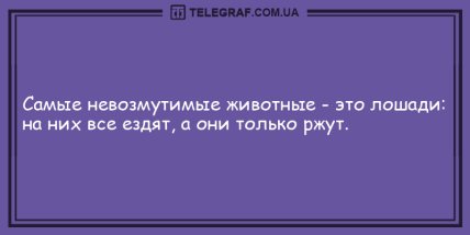 Все начинается с улыбки: свежая порция утренних анекдотов (ФОТО) Все начинается с улыбки: свежая порция утренних анекдотов (ФОТО)