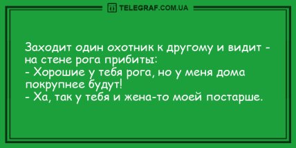 Все начинается с улыбки: свежая порция утренних анекдотов (ФОТО) Все начинается с улыбки: свежая порция утренних анекдотов (ФОТО)