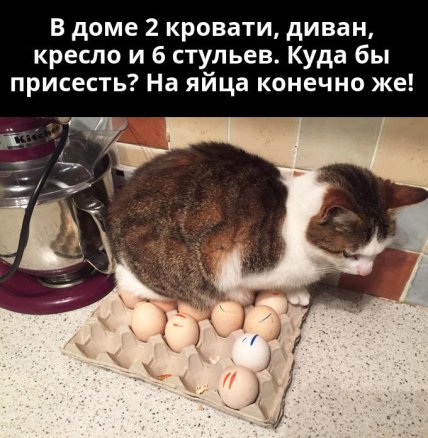 Смешные картинки ко Дню яиц