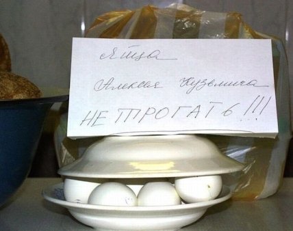Смешные картинки ко Дню яиц