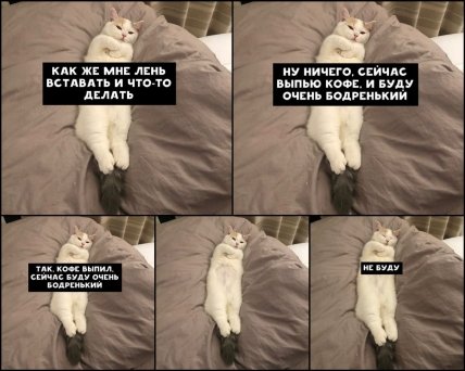 Когда действительно ЛЕНЬ вставать