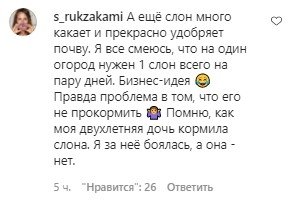 Интересно и страшно: сеть впечатлило видео, как слон ест хлеб (ВИДЕО) Интересно и страшно: сеть впечатлило видео, как слон ест хлеб (ВИДЕО)