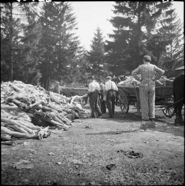 Серия фотографий, сделанных в немецком концлагере Дахау, 1945 год. ФОТО