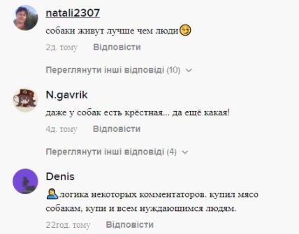 Женщина показала в соцсетях, как кормит своих собак, и нарвалась на волну хейта (видео) Женщина показала в соцсетях, как кормит своих собак, и нарвалась на волну хейта (видео)