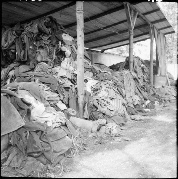 Серия фотографий, сделанных в немецком концлагере Дахау, 1945 год. ФОТО