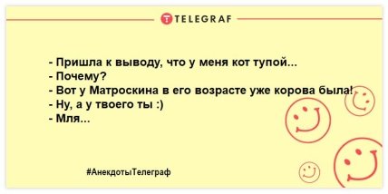 Собака любит просто так, а кот — из-за корма: уморительные шутки о кошках (ФОТО) Собака любит просто так, а кот — из-за корма: уморительные шутки о кошках (ФОТО)
