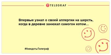 Собака любит просто так, а кот — из-за корма: уморительные шутки о кошках (ФОТО) Собака любит просто так, а кот — из-за корма: уморительные шутки о кошках (ФОТО)