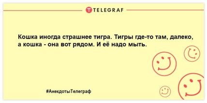 Собака любит просто так, а кот — из-за корма: уморительные шутки о кошках (ФОТО) Собака любит просто так, а кот — из-за корма: уморительные шутки о кошках (ФОТО)