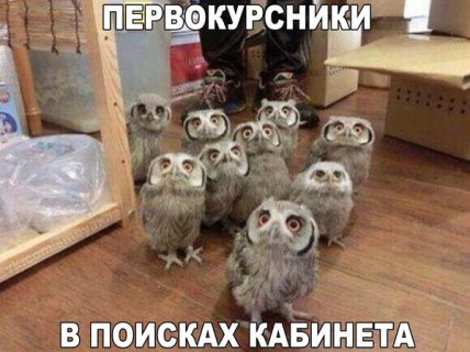 Если студент не хочет учиться, значит плохо работает военкомат: смешные анекдоты про студенчество (ФОТО) Если студент не хочет учиться, значит плохо работает военкомат: смешные анекдоты про студенчество (ФОТО)