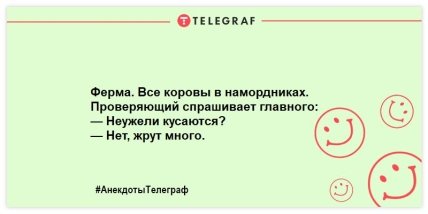 У хорошего агронома ячмень растет прямо на глазах: веселые анекдоты про сельское хозяйство (ФОТО) У хорошего агронома ячмень растет прямо на глазах: веселые анекдоты про сельское хозяйство (ФОТО)