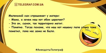 Юмор без границ в это утро: лучшие анекдоты (ФОТО) Юмор без границ в это утро: лучшие анекдоты (ФОТО)