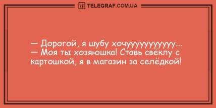 Только позитив и отличное настроение: подборка веселых анекдотов (ФОТО) Только позитив и отличное настроение: подборка веселых анекдотов (ФОТО)