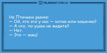 Только позитив и отличное настроение: подборка веселых анекдотов (ФОТО) Только позитив и отличное настроение: подборка веселых анекдотов (ФОТО)