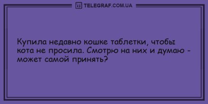 Озари мир своей улыбкой: порция веселых шуток на утро (ФОТО) Озари мир своей улыбкой: порция веселых шуток на утро (ФОТО)