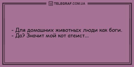 День точно не пройдет даром: уморительные анекдоты для хорошего настроения (ФОТО) День точно не пройдет даром: уморительные анекдоты для хорошего настроения (ФОТО)