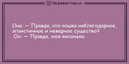 Улыбка на все сто с самого утра: веселые анекдоты (ФОТО) Улыбка на все сто с самого утра: веселые анекдоты (ФОТО)