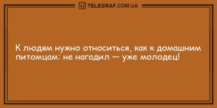 От улыбки станет всем светлей: смешные анекдоты (ФОТО) От улыбки станет всем светлей: смешные анекдоты (ФОТО)
