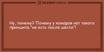 Уделите минутку для шутки: анекдоты, которые поднимут настроение на целый день (ФОТО) Уделите минутку для шутки: анекдоты, которые поднимут настроение на целый день (ФОТО)