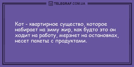 Проснись и не сердись: самые смешные утренние анекдоты (ФОТО) Проснись и не сердись: самые смешные утренние анекдоты (ФОТО)